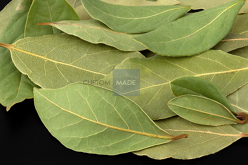 Лавровый лист macro